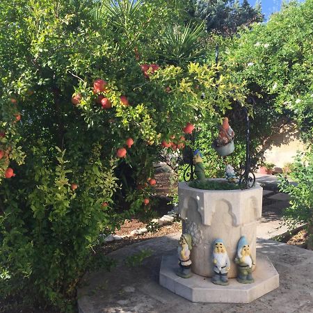 Il Giardino Della Foglia Hotel Bari Luaran gambar