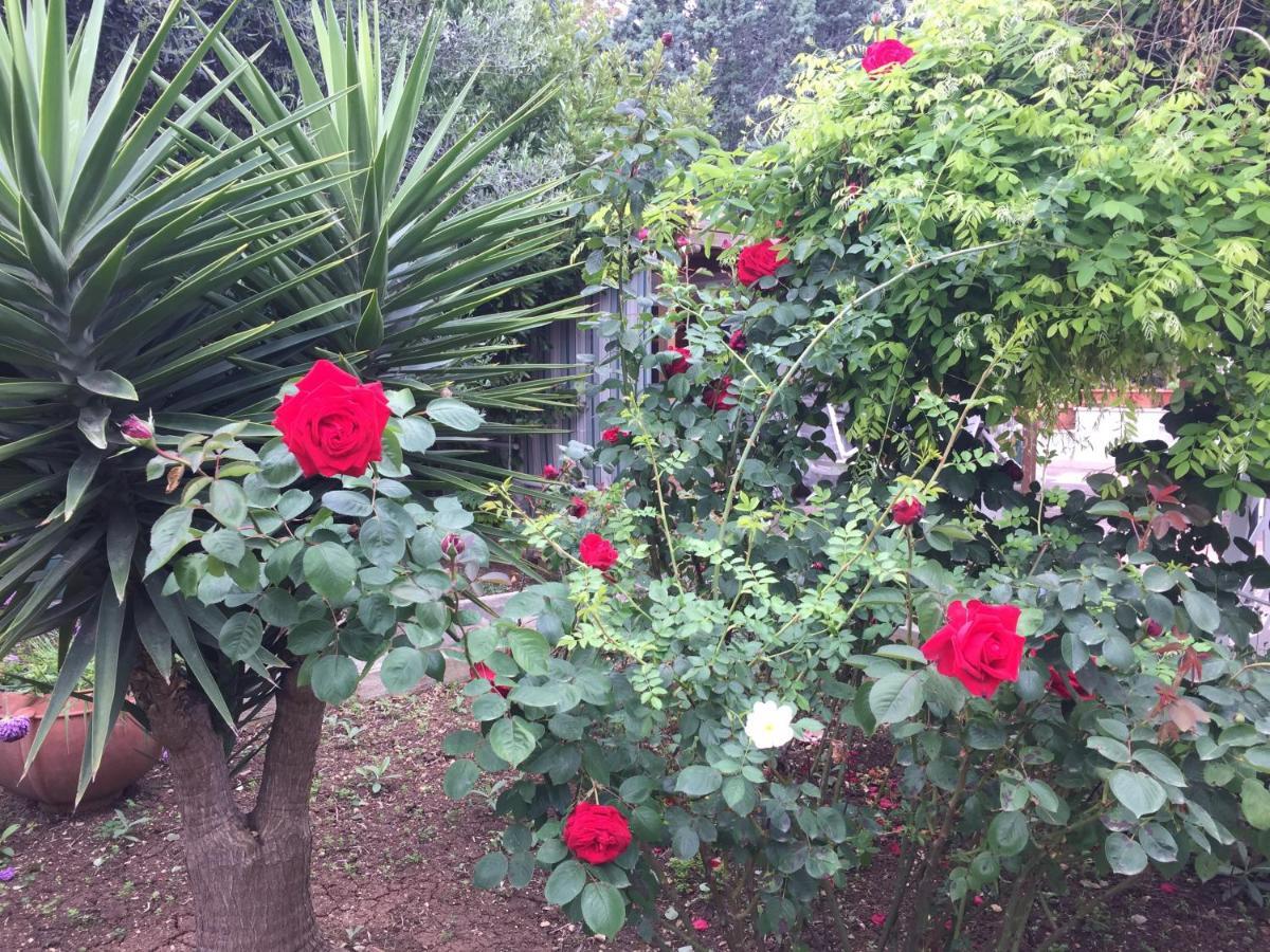 Il Giardino Della Foglia Hotel Bari Luaran gambar